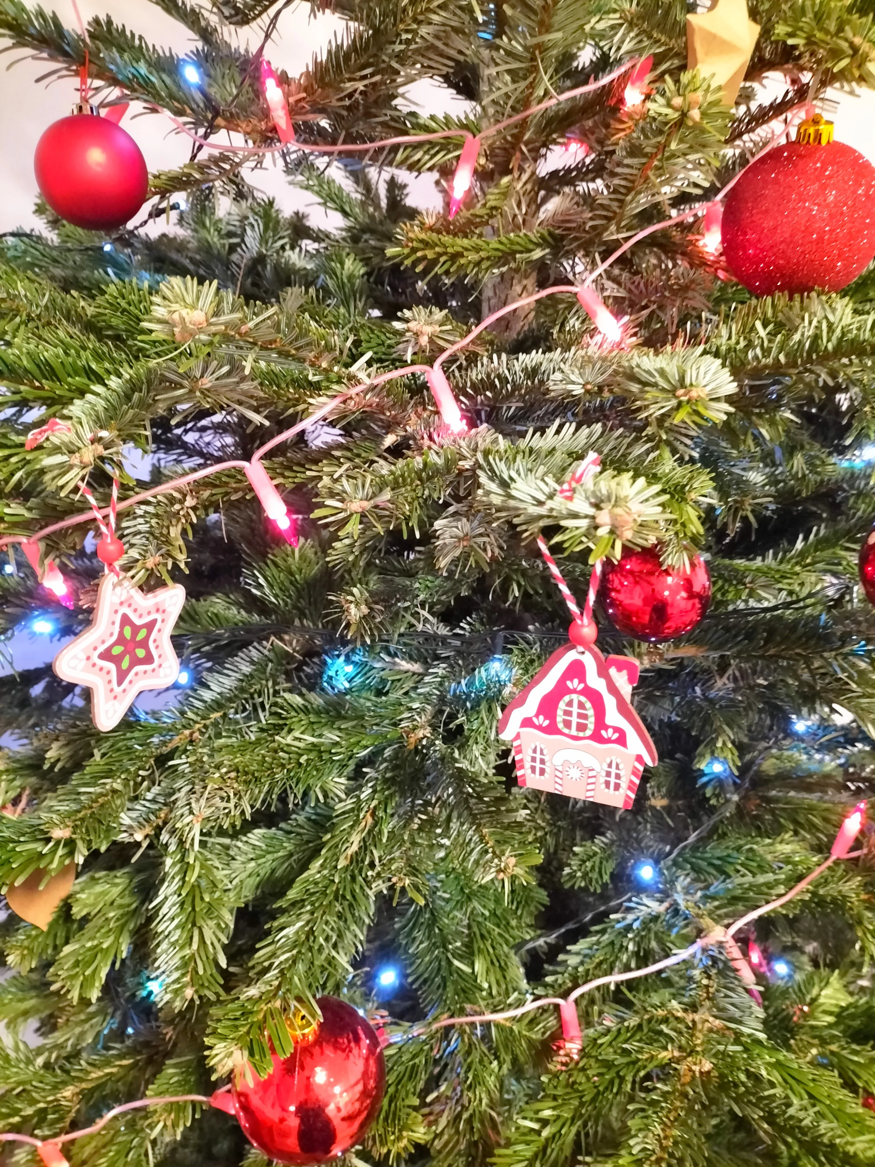 sapin 2.webp